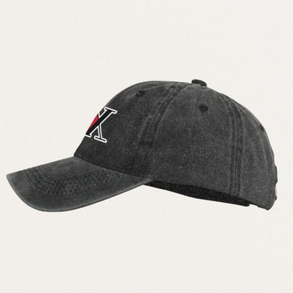 Vintage Cap Hunter Association | Hunter x Hunter Merch | Hunter x Hunter Fanmade Hat